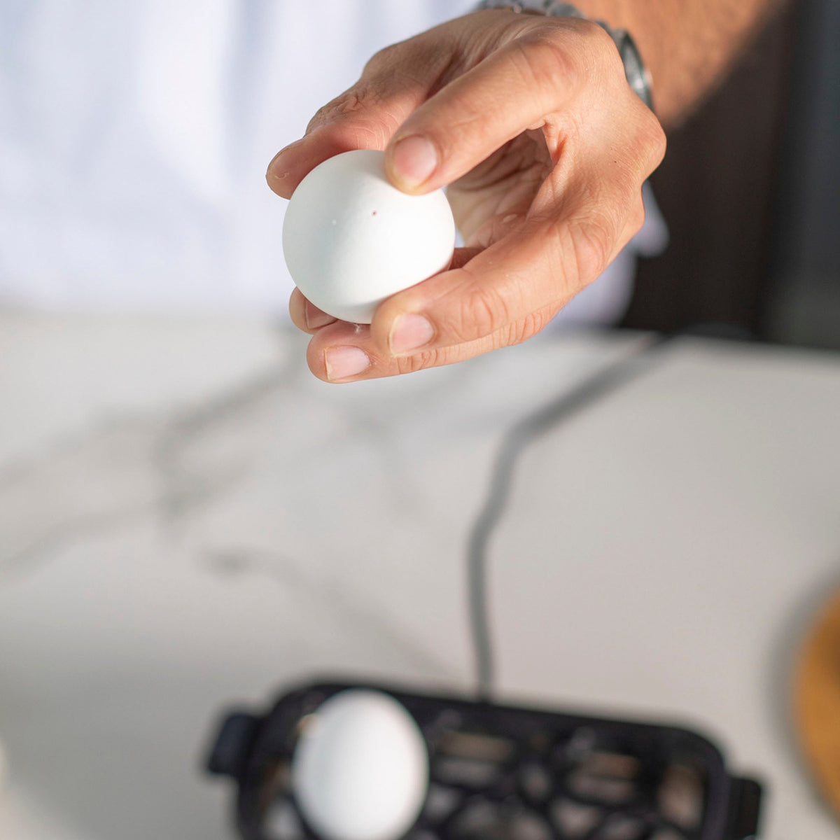 Hervidor de Huevos Master Egg FDV