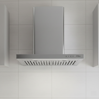 Campana Extractora 60cm Decorativa Elite II FDV