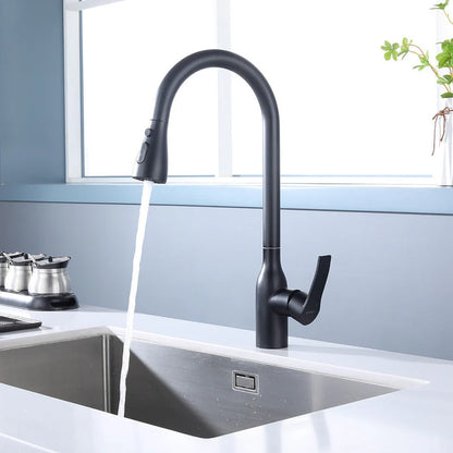 Griferia de Cocina Monocomando Extensible Black Steel FDV