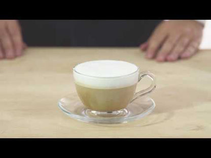 Cafetera Espresso Classic E24 Negro GAGGIA