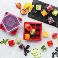 Molde para Hielo Trudeau Cubo con Tapa Set x2